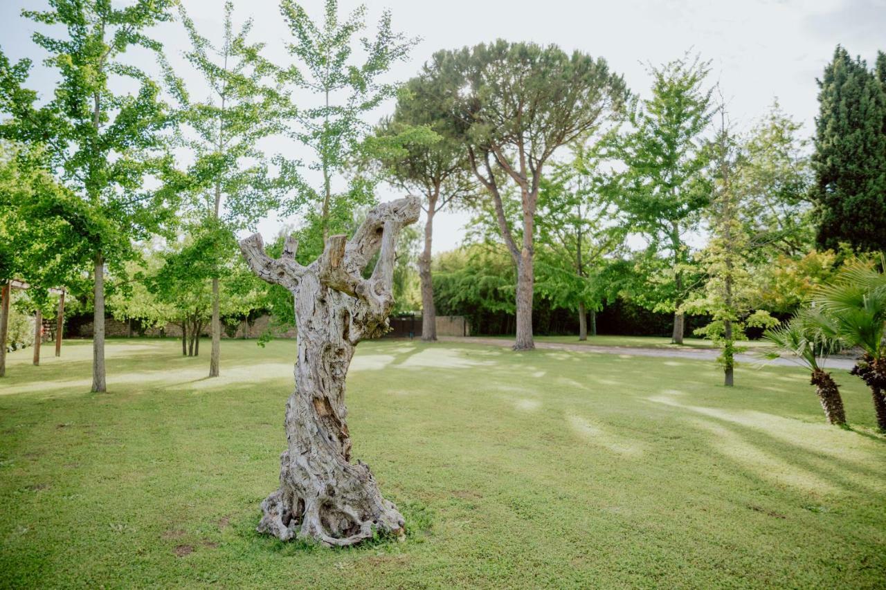 Fuori Le Mura